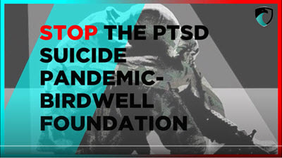 Video cover - Stop the Suicide Pandemic - Birdwell Foundation